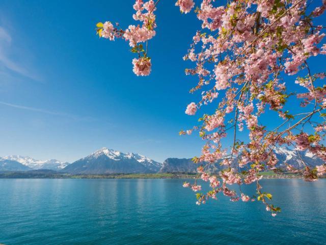 Schoene Ferienwohnung Mit Seeblick Thun Exteriér fotografie